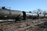 TCLX 290433